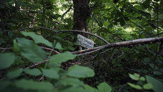 <i>The Search for Castle Rock </i>Unearths the Real-Life Places That Inspired Stephen King